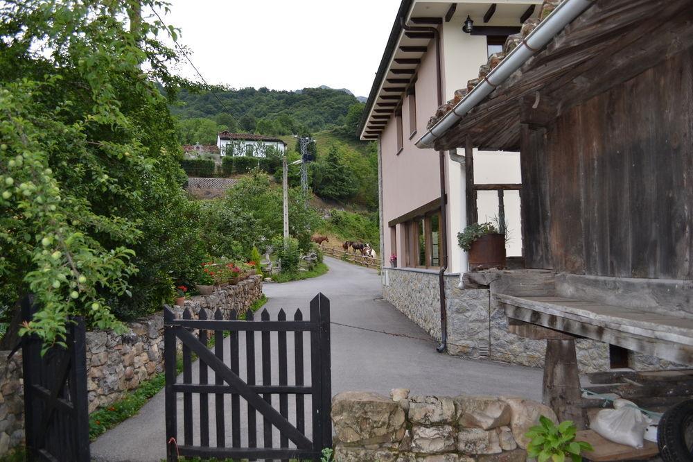 Alesga Hotel Rural - Valles Del Oso -Asturias San Salvador  Exteriör bild