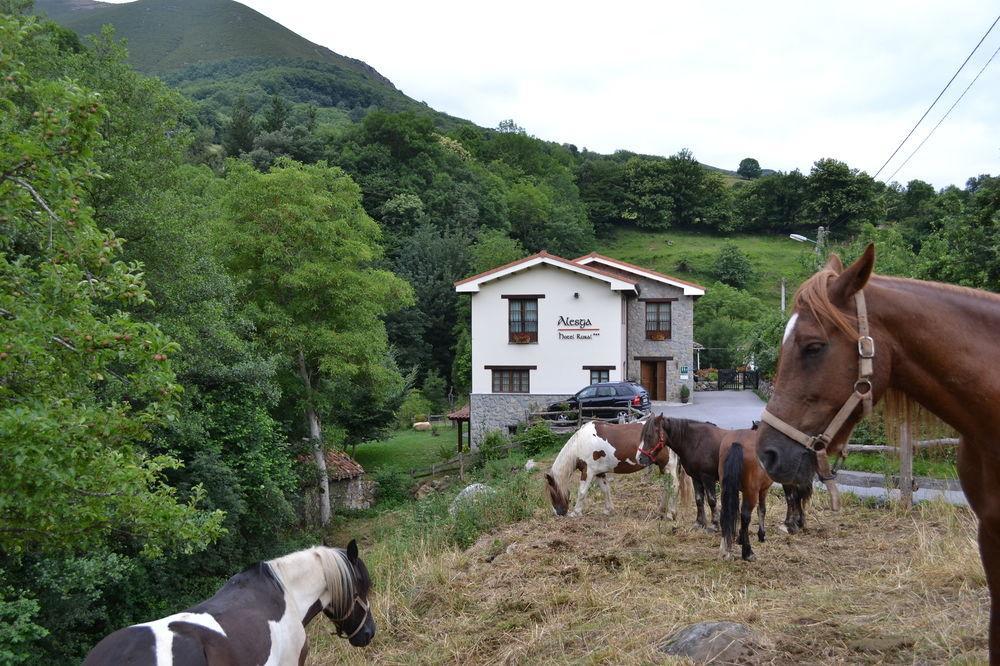 Alesga Hotel Rural - Valles Del Oso -Asturias San Salvador  Exteriör bild