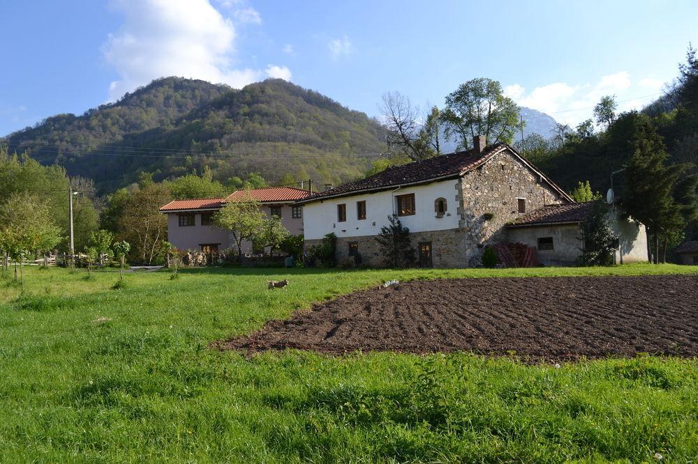 Alesga Hotel Rural - Valles Del Oso -Asturias San Salvador  Exteriör bild