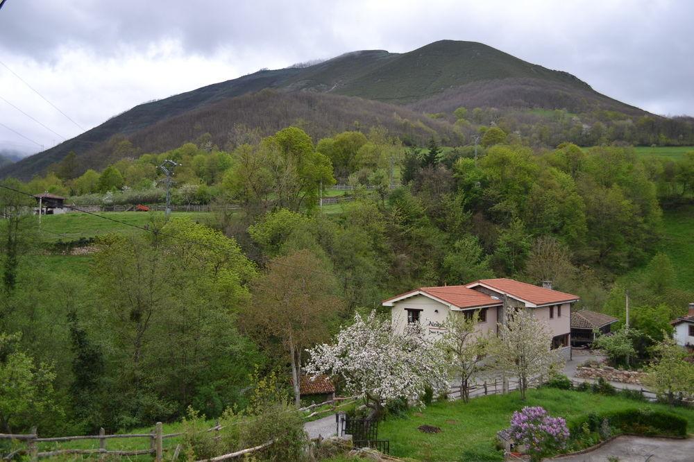Alesga Hotel Rural - Valles Del Oso -Asturias San Salvador  Exteriör bild