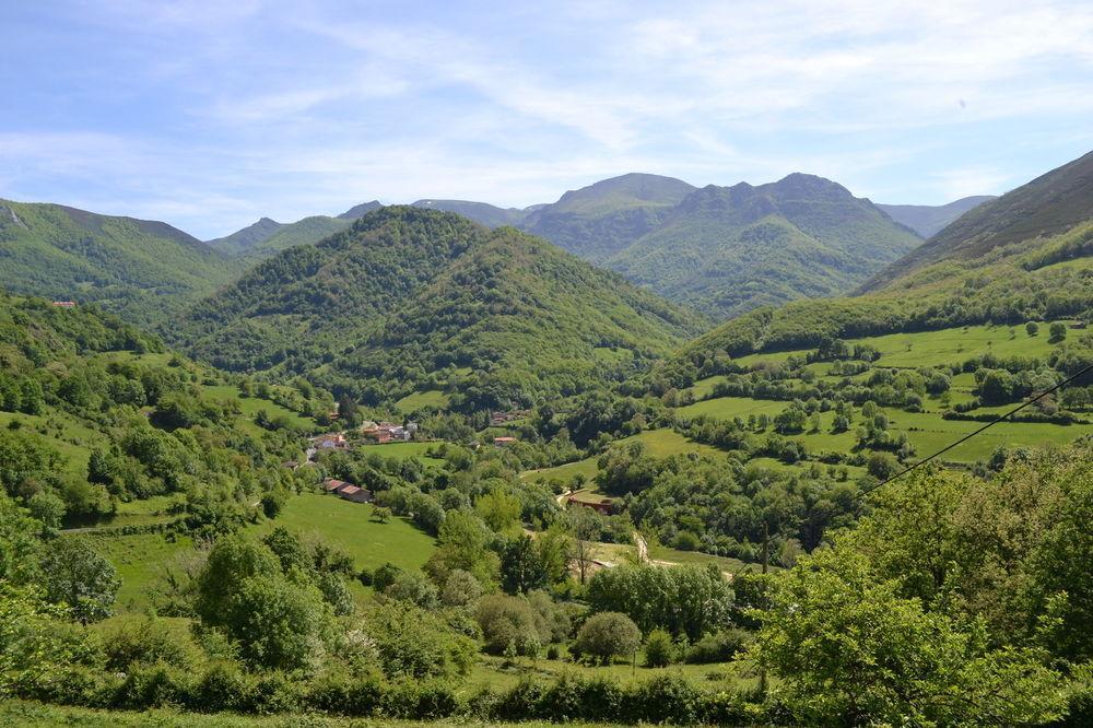 Alesga Hotel Rural - Valles Del Oso -Asturias San Salvador  Exteriör bild
