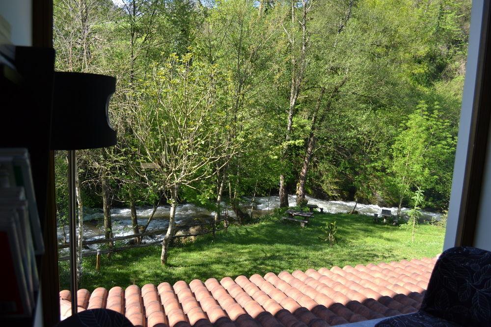 Alesga Hotel Rural - Valles Del Oso -Asturias San Salvador  Exteriör bild