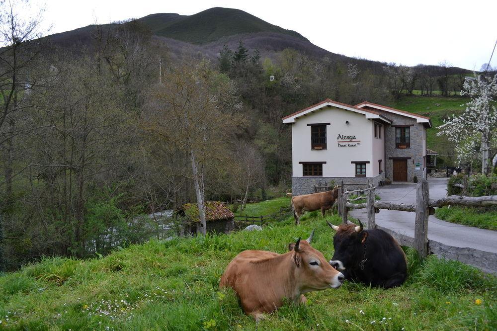 Alesga Hotel Rural - Valles Del Oso -Asturias San Salvador  Exteriör bild