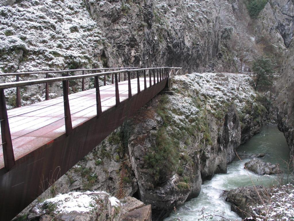Alesga Hotel Rural - Valles Del Oso -Asturias San Salvador  Exteriör bild