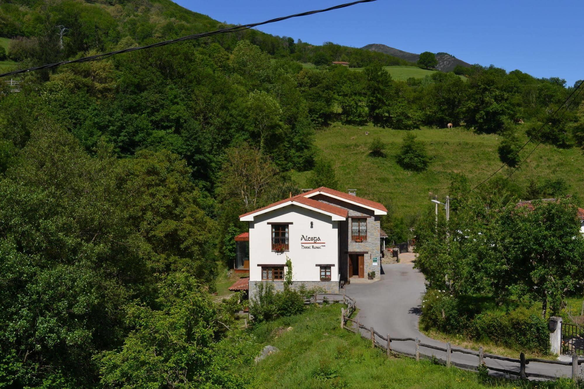 Alesga Hotel Rural - Valles Del Oso -Asturias San Salvador  Exteriör bild