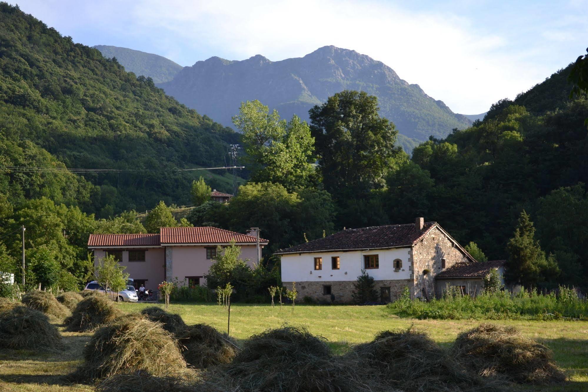 Alesga Hotel Rural - Valles Del Oso -Asturias San Salvador  Exteriör bild