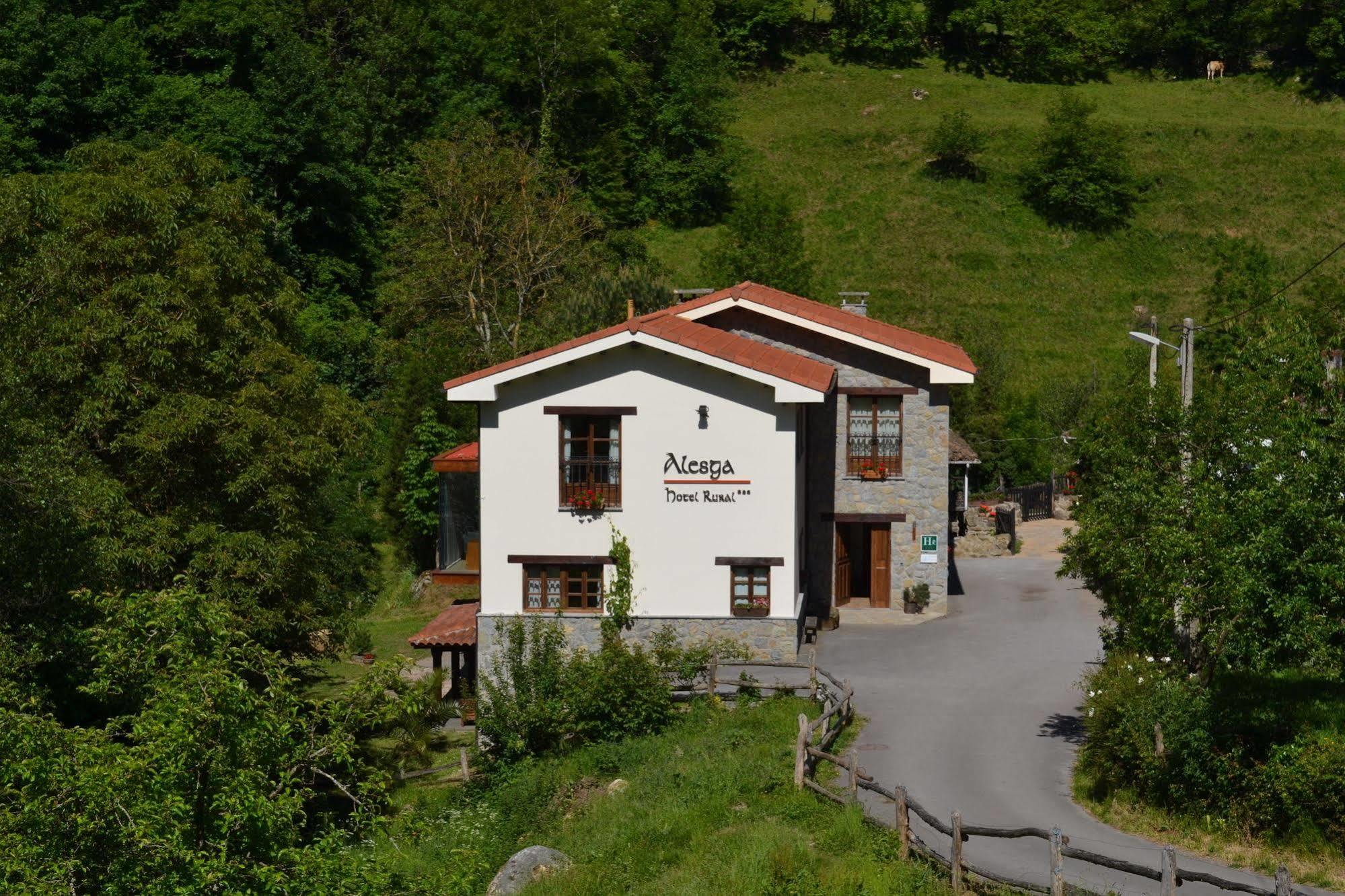 Alesga Hotel Rural - Valles Del Oso -Asturias San Salvador  Exteriör bild
