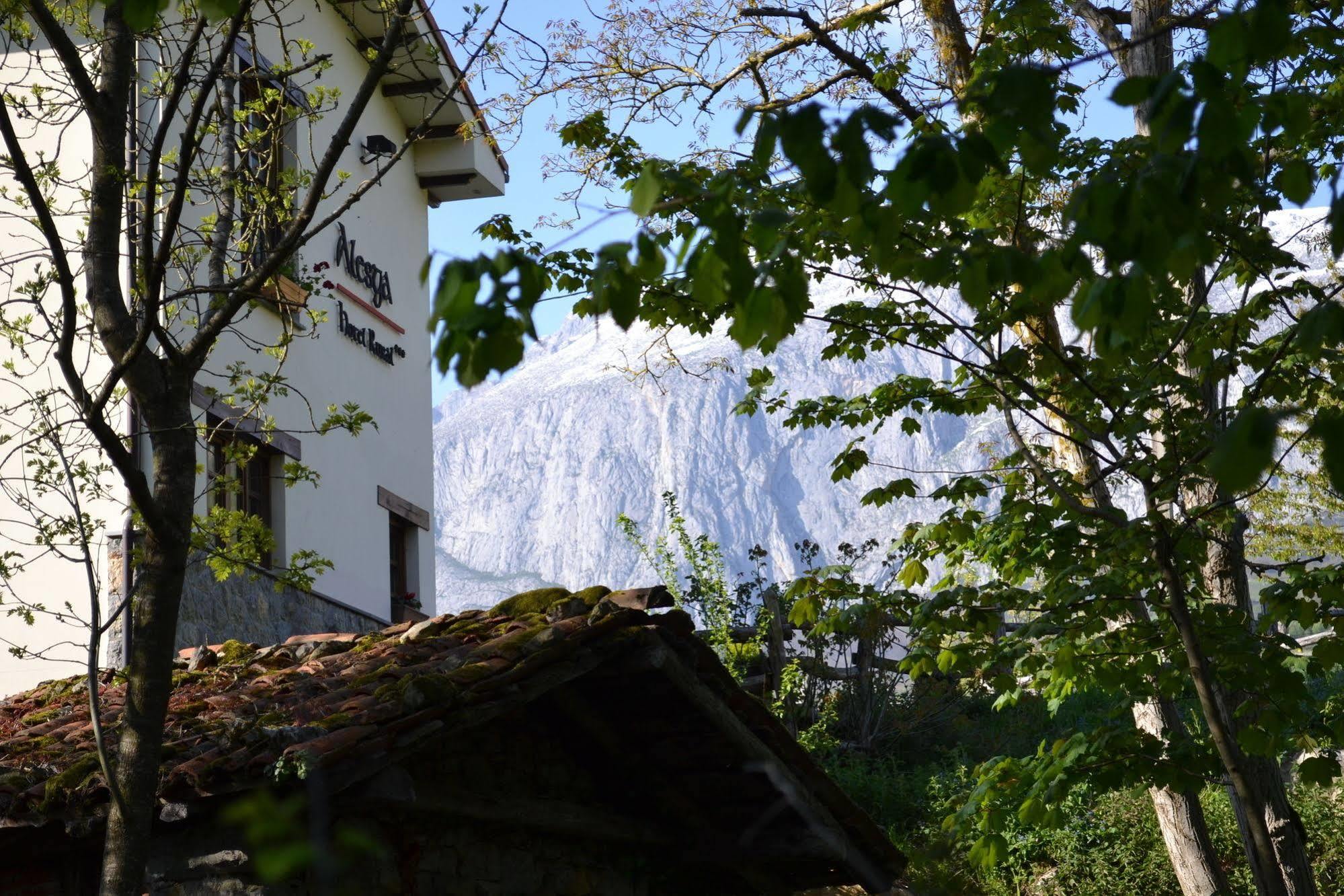 Alesga Hotel Rural - Valles Del Oso -Asturias San Salvador  Exteriör bild